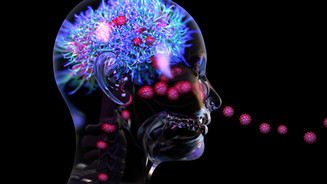 Neuralink: Probleme bei Gehirnchip