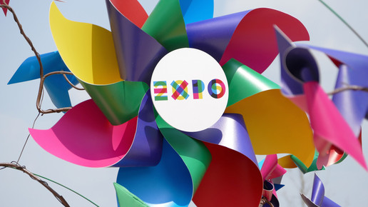 18707137848 5c984b6f92 o 1