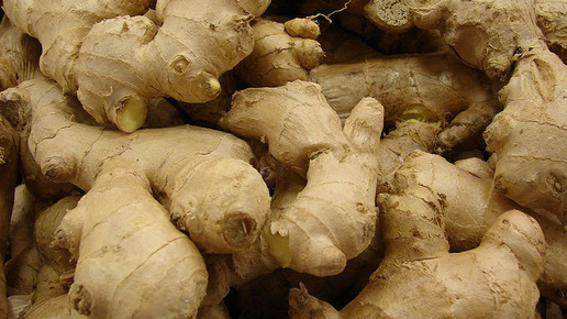 ingwer wiki Forest and Kim Starr