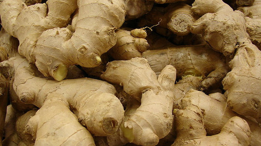 ingwer wiki Forest and Kim Starr