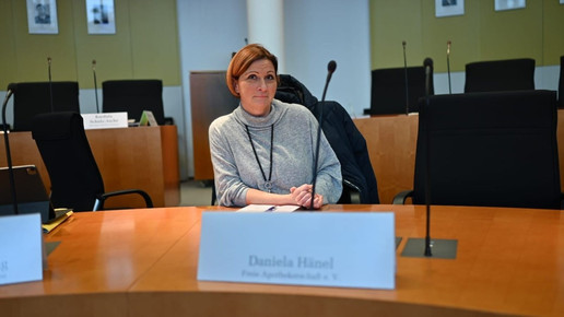 Daniela Hänel bei Anhörung im Bundestag
