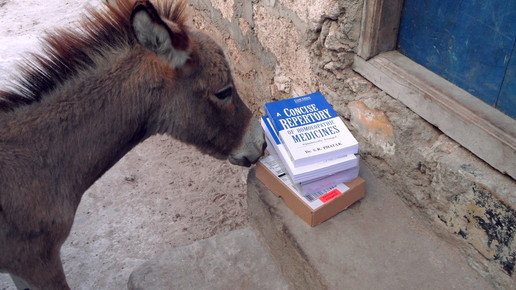 Lamu Kenia  mit Homo  opathiebu  chern