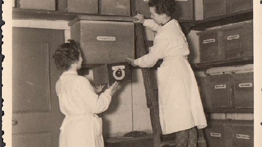 historisch 5 Raths-Apotheke