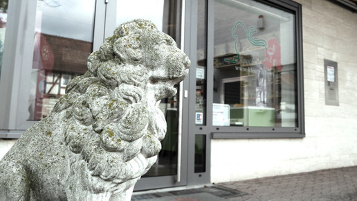 loewen-apo aussen4 kloster-apo