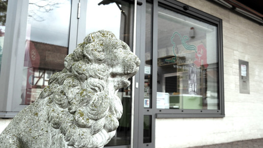 loewen-apo aussen4 kloster-apo