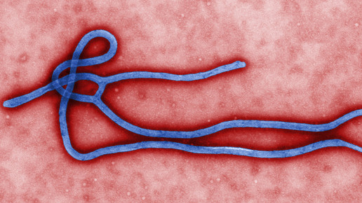 Ebola-Ausbruch weitet sich aus