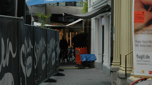 loerrach apo festival2 loewen apo