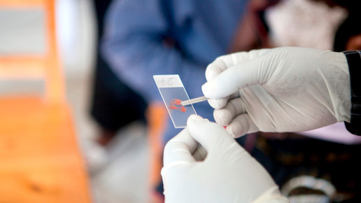 Malaria in Paraguay ausgerottet