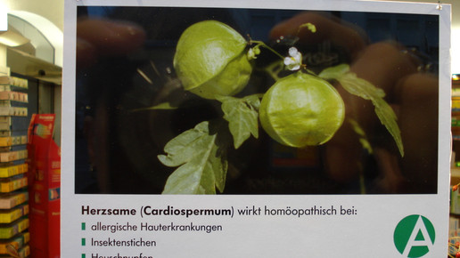 herzsame rathaus-apo