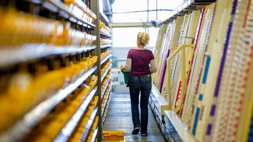 phoenix halle3 phoenix group