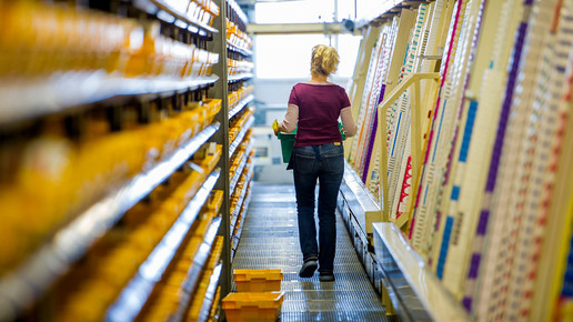 phoenix halle3 phoenix group