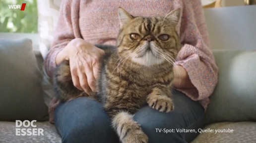 docesser6 werbung 170208 wdr