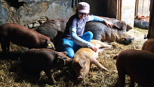 baeuerin-im-stall-privat