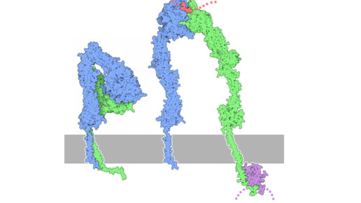 integrin rscb pdb cc-by-3 0