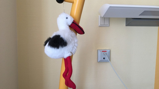 Niederlassungsprämie für Hebammen