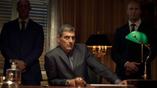 oesterreich faelschungskampagne screenshot