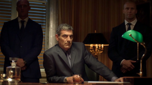 oesterreich faelschungskampagne screenshot