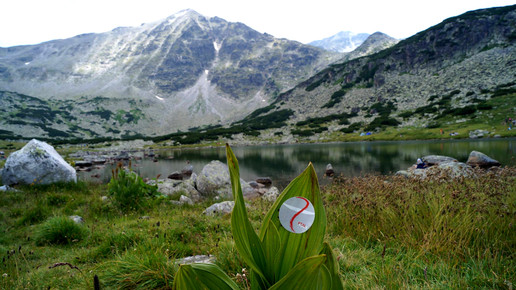 ptal sticker bulgarien ptal facebook