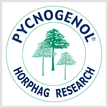 Pycnogenol® reduziert Hautverfärbungen nach Behandlung von Besenreisern