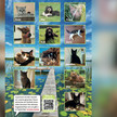 Hund und Katze: Apotheke adressiert Tierfreunde