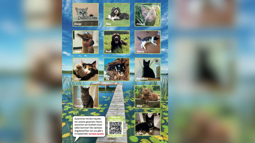 Hund und Katze: Apotheke adressiert Tierfreunde