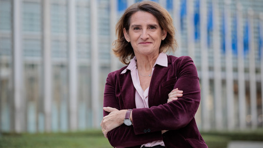 Versandhandel: EU-Kommissarin sieht Wettbewerbsverzerrung