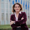 Versandhandel: EU-Kommissarin sieht Wettbewerbsverzerrung Versandhandel: EU-Kommissarin sieht Wettbewerbsverzerrung
