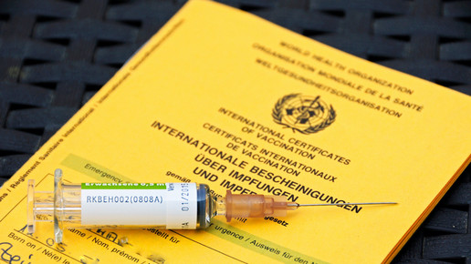 FSME: 2 neue Risikogebiete