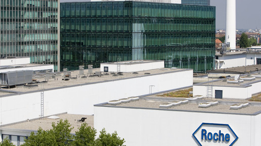 roche basel2 roche