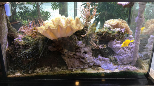 Neustaedter-Apotheke1