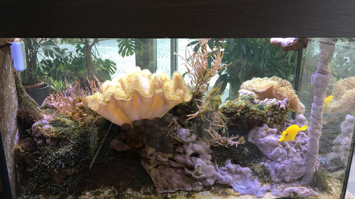 Neustaedter-Apotheke1