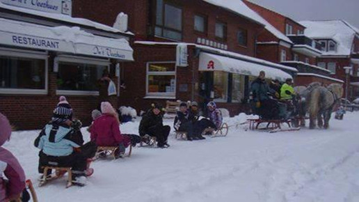 seehundapotheke4 erich hrdina