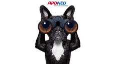 Stellenanzeigen: Apotheker werden kreativ