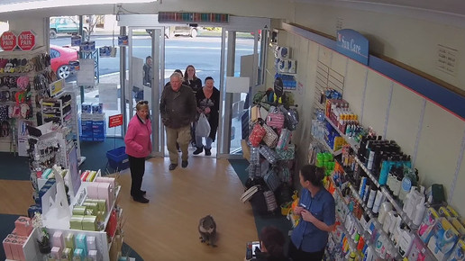 Koala in Apotheke 7 Screenshot