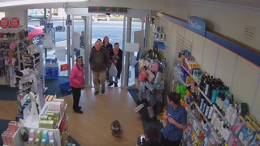 Koala in Apotheke 7 Screenshot