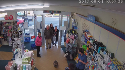 Koala in Apotheke 7 Screenshot