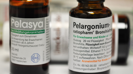 pelasya pelargonium1 aa