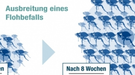 0002-PR-Texte4016 4dfa71