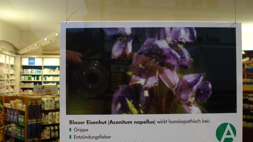 blauer eisenhut rathaus-apo