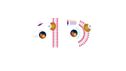magnetroboter salvador pane eth