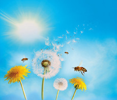 Bildmaterial LINDA Beratungswochen Allergie Pressebild 1