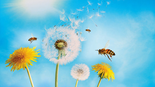 Bildmaterial LINDA Beratungswochen Allergie Pressebild 1