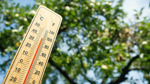 Thermometer zeigt 40 Grad
