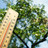 DRK fordert Geld für Hitzeschutz Thermometer zeigt 40 Grad