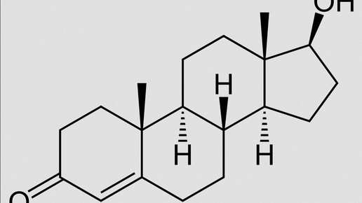 Testosteron strukturformel wikipedia