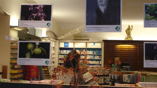 schaufenster fotos rathaus-apo