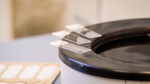 labor charite17 andreas domma