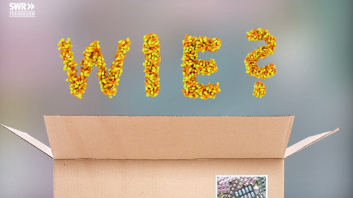 swr 170112versandhandel1 scs