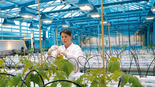 Bayer: Sorgen vor Risiko nach Glyphosat-Urteil