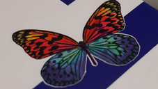 Welches Produkt steckt dahinter?